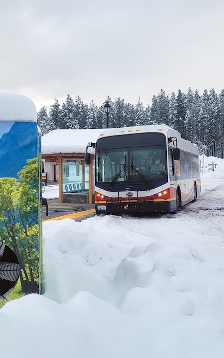 雪中​​的 Link Transit 巴士